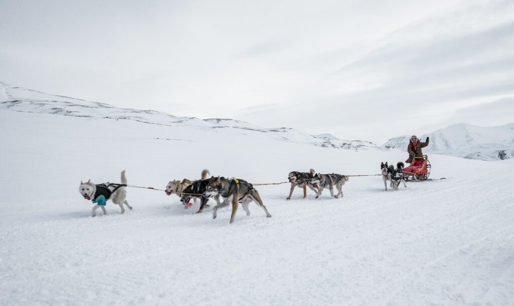Hundspann med flera draghundar som springer genom ett snötäckt fjällandskap med slädförare bakom