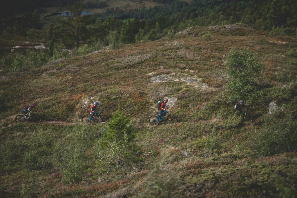 Mountain Bike Fjällen