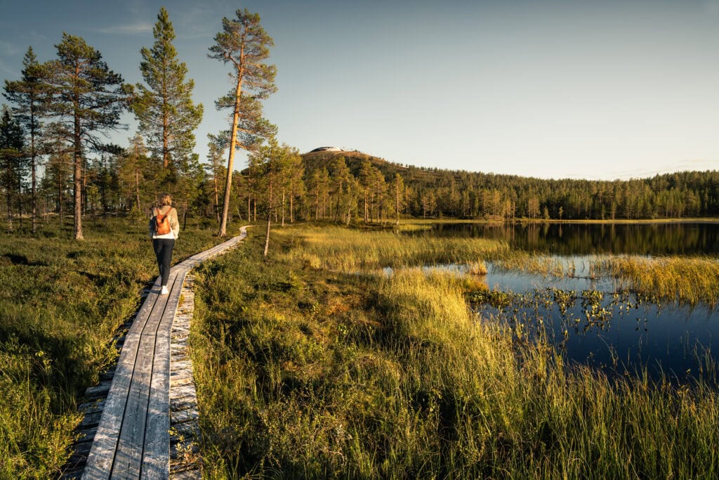 Person vandrar längs spång vid sjö i Sälenfjällen under sommar och höst