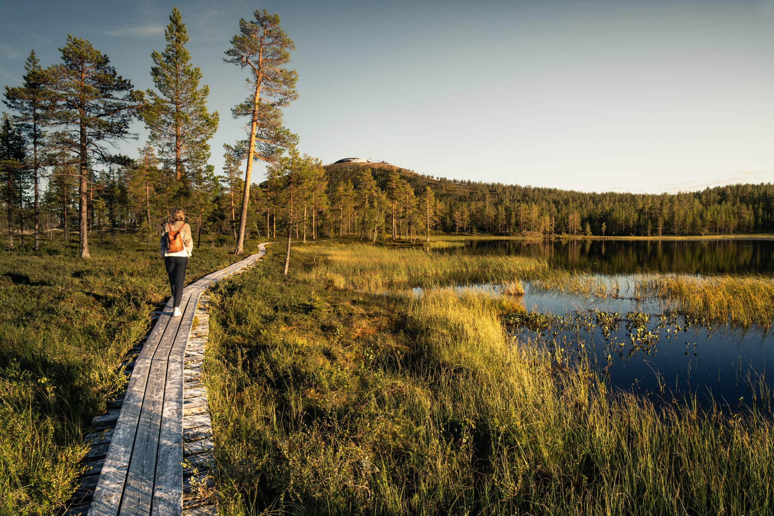Vandring i Sälen längs spång vid fjällsjö i solnedgång