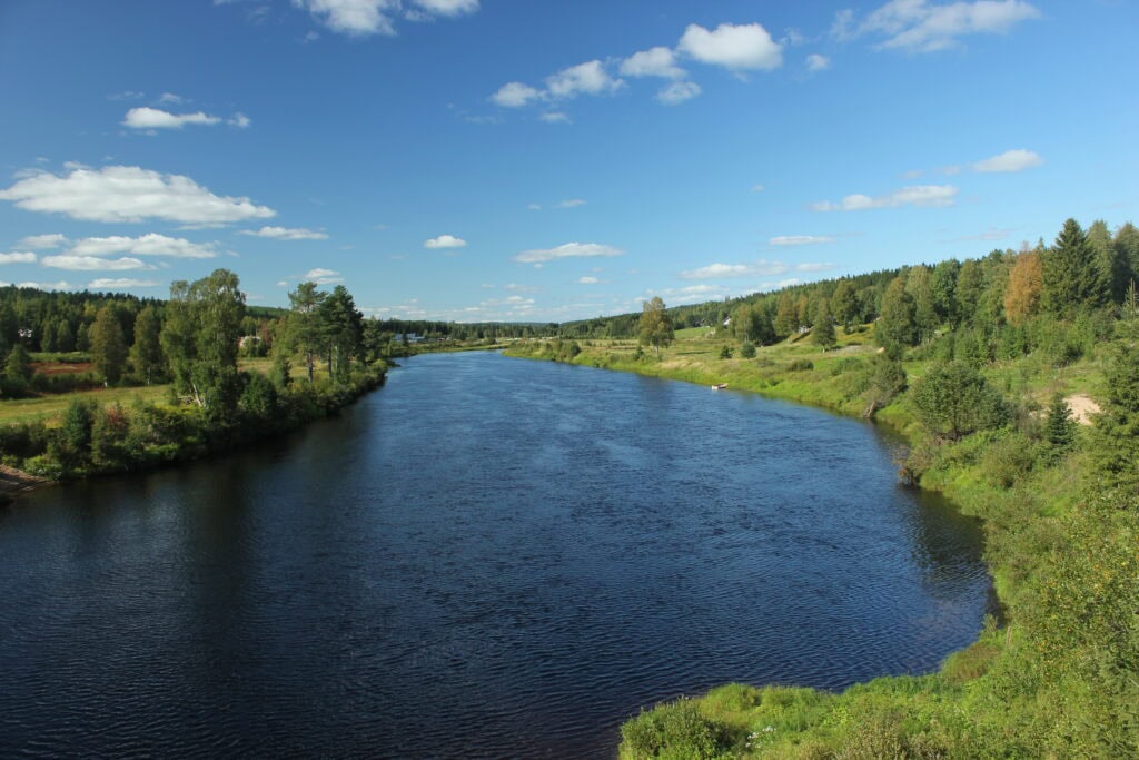 Sommarutsikt över Västerdalälven i Sälen med blå himmel och grönskande landskap.
