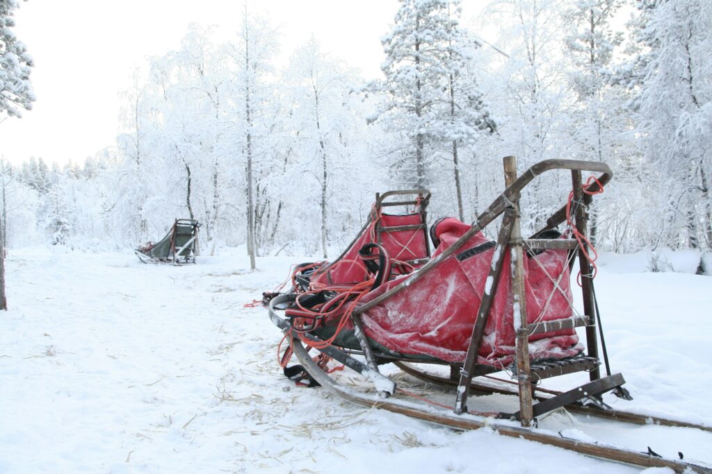 Tomma hundslädar med röda täcken parkerade i en snöklädd skog redo för hundspannstur