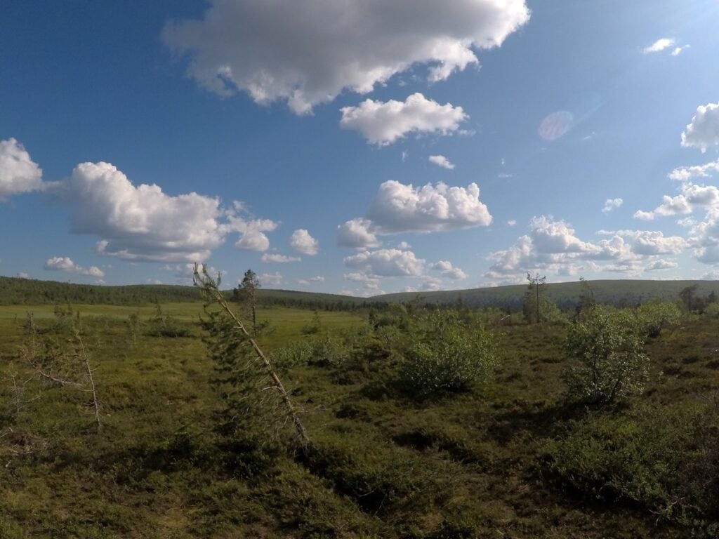 Frodig grønt landskap under blå himmel