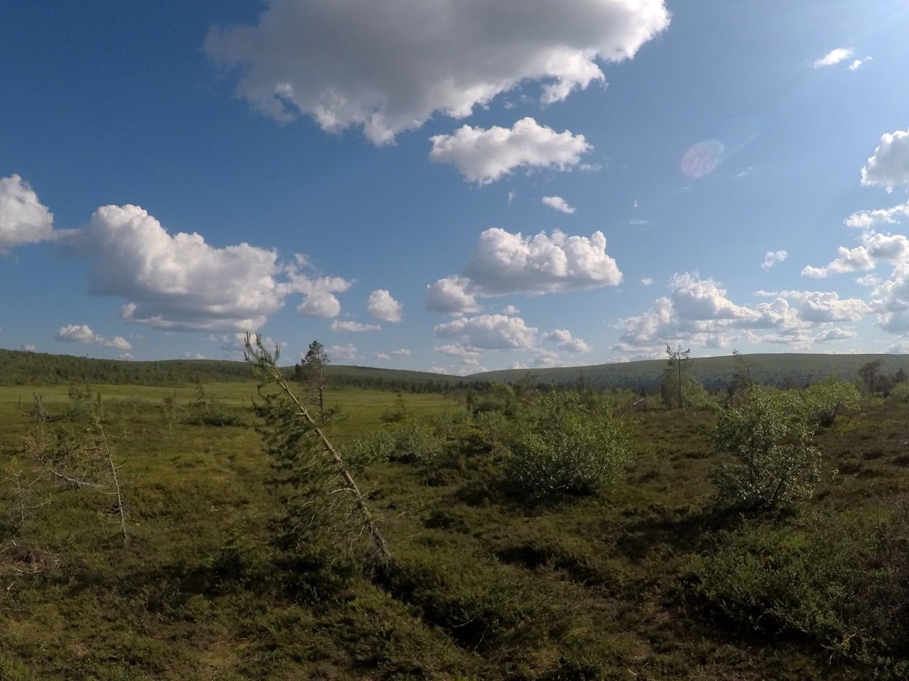Lush green landscape under blue sky