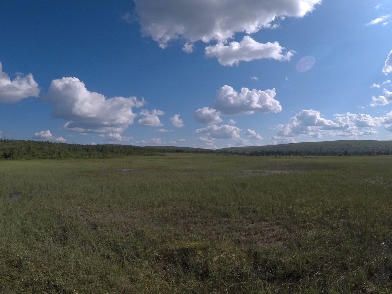 Öppen fjällvy i Sälen under solig sommardag