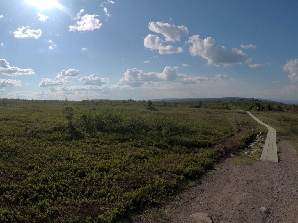 Fjällhed i Sälen med blå himmel och vita moln