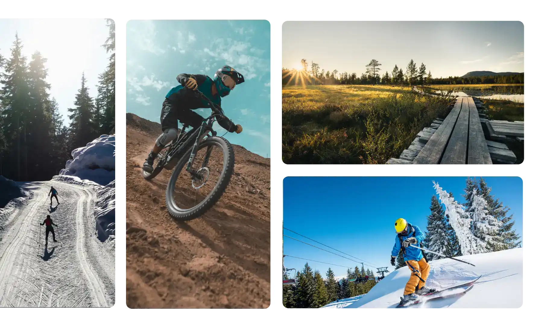 Skidåkning och snowboarding i snötäckta landskap, perfekt för vintersportentusiaster.