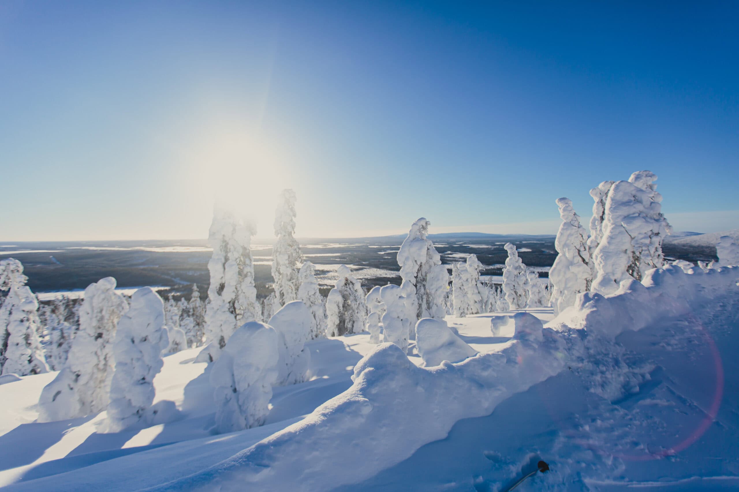 Snötäckta fjällträd i Sälen badar i vintersol med utsikt över dalen