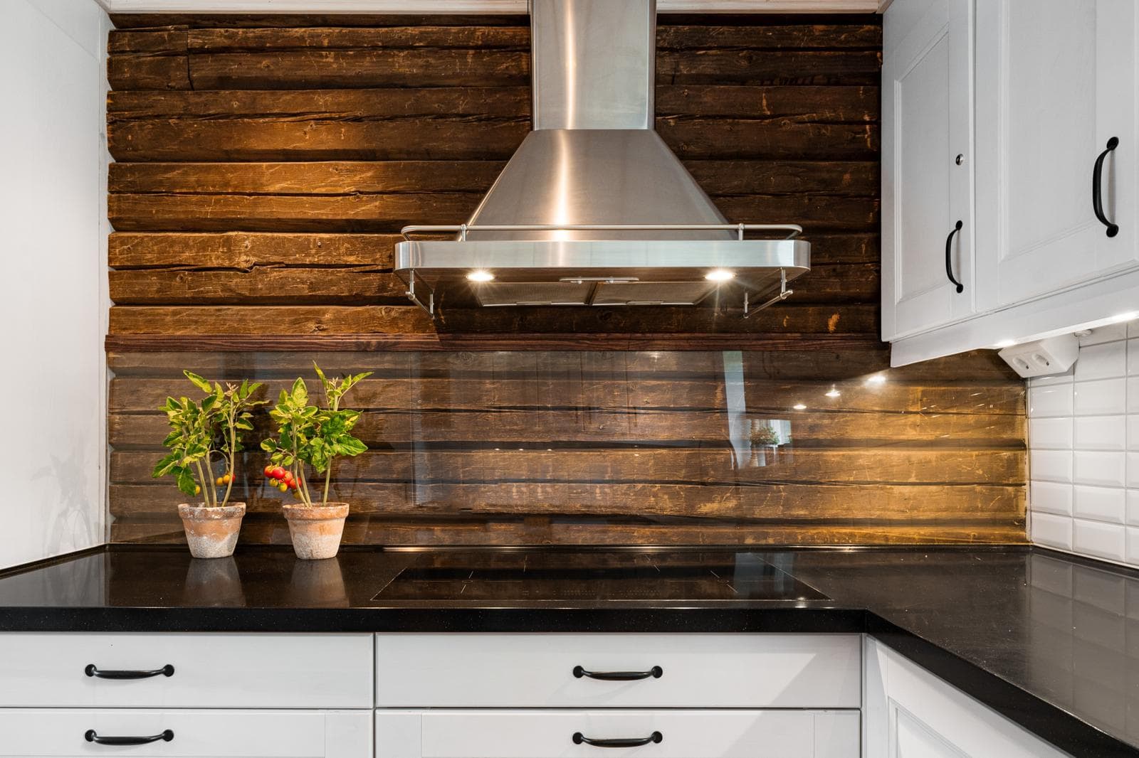 Modernt kök med träpanel och växter